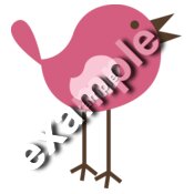 Retro Bird Pink
